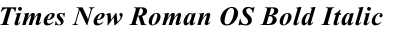 Times New Roman OS Bold Italic